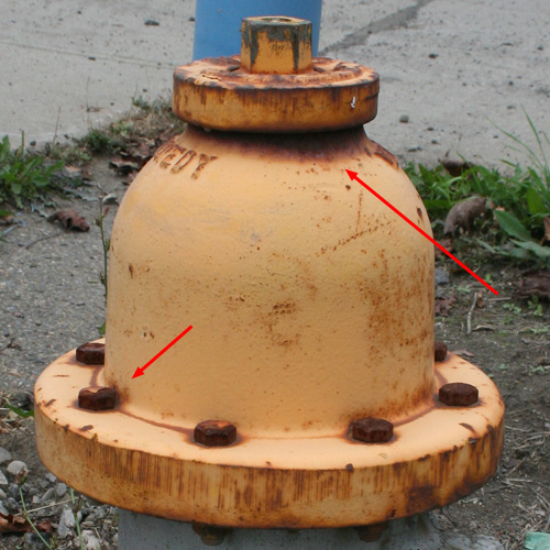 pic1