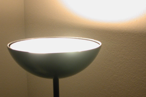 lamp bloom
