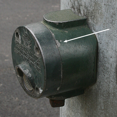 pic1